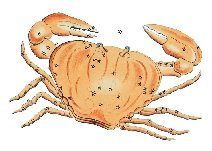 Foto constelação de caranguejo adesivo png animal do zodíaco cortado fundo transparente