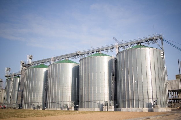 Construção de uma planta de agroprocessamento de fábrica de ração para processamento e silos para limpeza de secagem