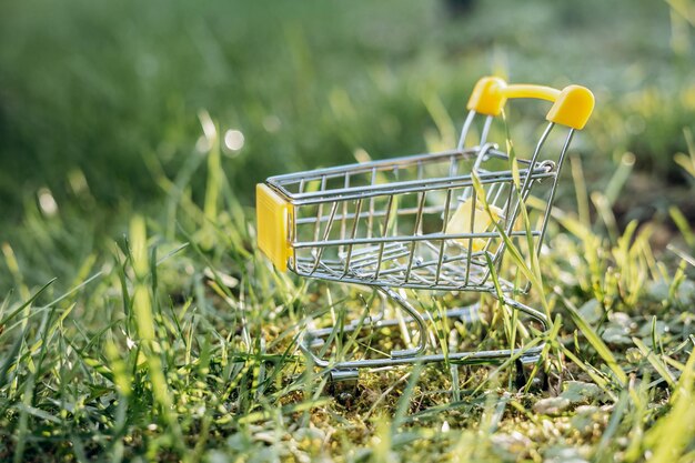 Consumo sostenible Carro de compras vacío sobre fondo de hierba verde Concepto de cero residuos Espacio de copia