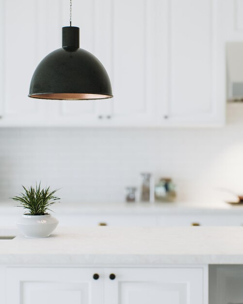 Foto contador de cozinha branco moderno com plantas de interior