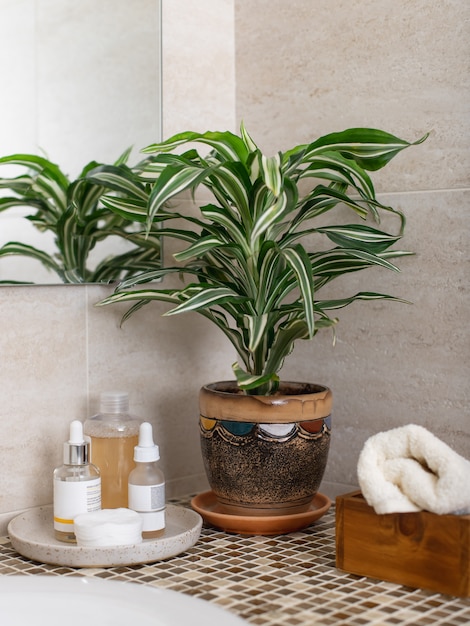 Contador no banheiro com cosméticos para cuidados com o rosto, enrole uma toalha limpa e uma planta de casa em um vaso de flores. imagem vertical