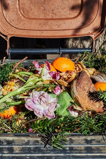 Foto container biológico com vários resíduos orgânicos