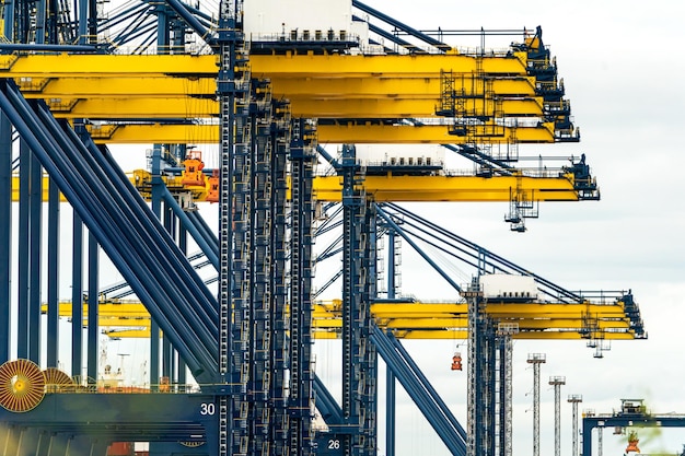 Containerschiff und Kräne im Hafen