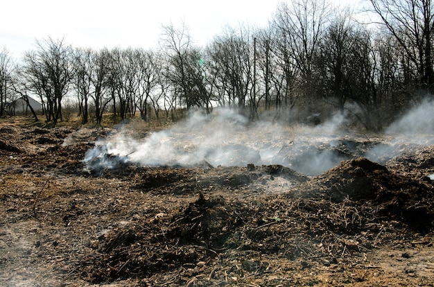 Contaminación de basura del medio ambiente.