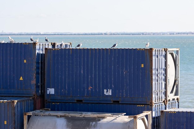 Contêineres de carga azuis prontos para carregamento no porto