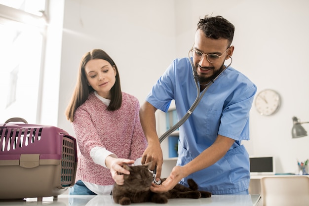 Contemporáneo joven veterinario clínico con estetoscopio examinando linda mascota con su dueño de pie cerca