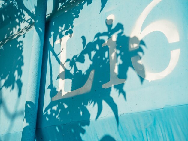 contenedor azul con hojas y sombra