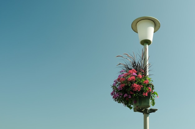 Contenedor de flores de jardinería en la calle vertical en una farola en el fondo de cielo azul