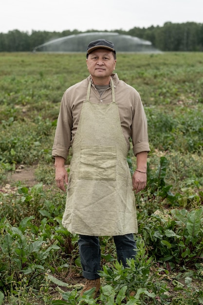 Contenido agricultor asiático maduro en delantal y gorra de pie en la plantación de hortalizas