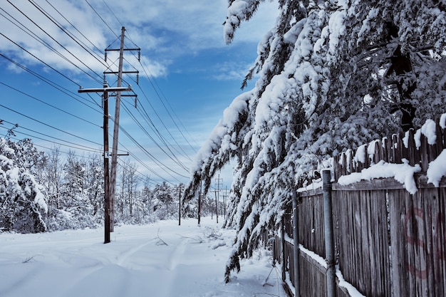 Conto de fadas inverno cuidando da beleza da natureza snowstorm