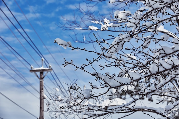 Conto de fadas inverno cuidando da beleza da natureza snowstorm