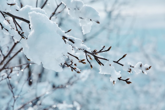 Conto de fadas inverno cuidando da beleza da natureza snowstorm