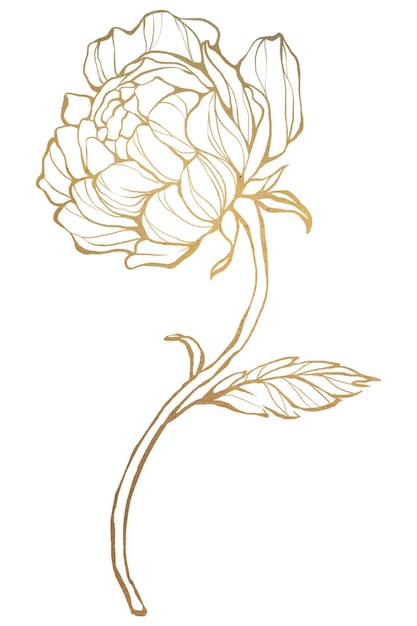 El contorno de la flor de oro es transparente png