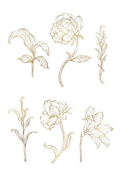 Contorno floral dorado conjunto transparente png