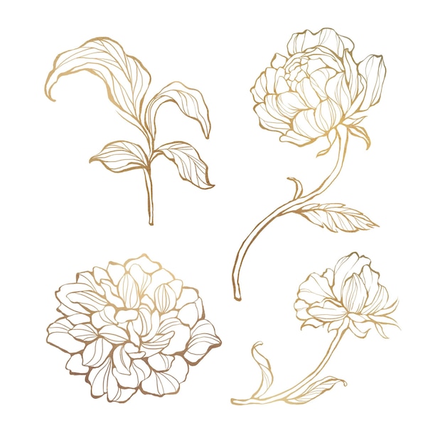 Contorno floral dorado conjunto transparente png