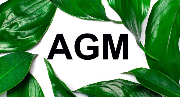 Contra el fondo de hojas verdes naturales, una tarjeta blanca con el texto Asamblea General Anual de AGM