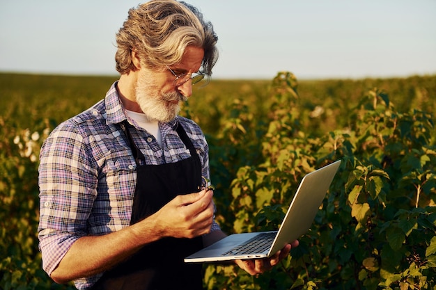 Control de calidad mediante el uso de una computadora portátil Hombre elegante senior con cabello gris y barba en el campo agrícola con cosecha