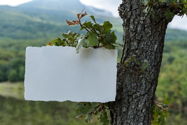 Convite de casamento e salvar a maquete do cartão de data Fundo da paisagem Estilo fotografia de stock