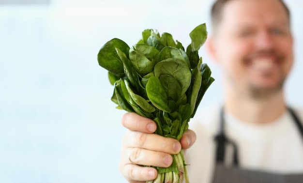 Cook hält grünen, gesunden, frischen Sauerampfersalat