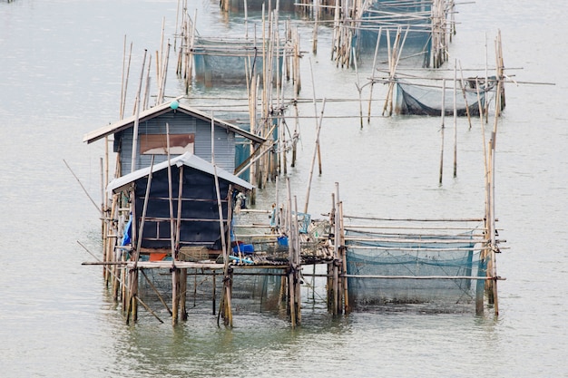 La cooperativa para alimentar a los peces en el este de Tailandia mar.