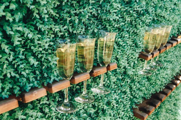 Una copa de champán está montada en un soporte en una pared vertical de césped verde Vasos de invitados vacíos en el soporte Decoración en la boda