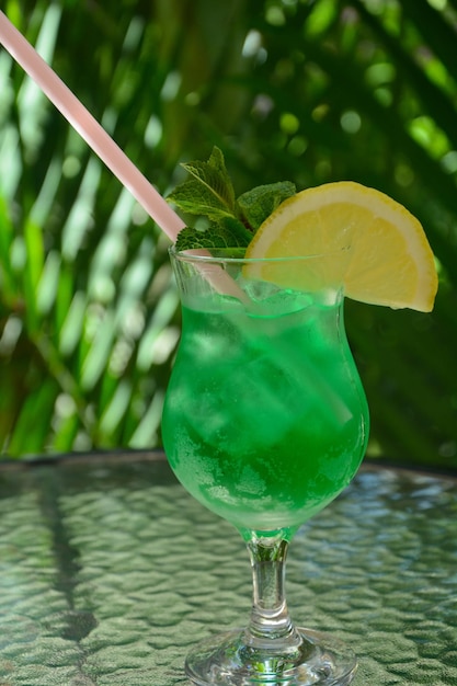 Copa de cóctel hada verde con limón y hojas de menta Dulce licor de menta refrescante con hielo y ron de absenta Cubitos de hielo y Vodka