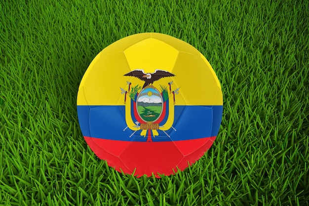 Copa do mundo de futebol de bandeira do equador