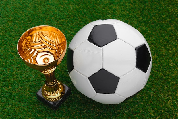 Copa de fútbol con balón de fútbol sobre hierba