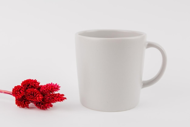 Copa gris aislado sobre fondo blanco con decoración de flores secas