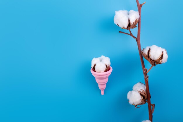 Copa menstrual de silicona rosa con algodón y ramita de algodón sobre fondo azul Minimalismo ecológico