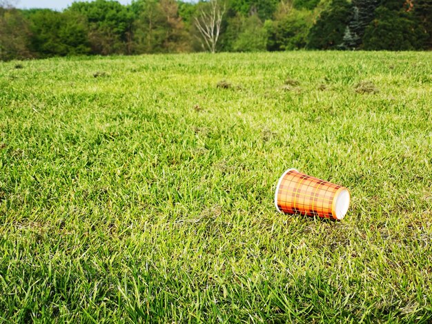 Foto copa de picnic en un área de césped verde belleza en los fondos de cuentos de la naturaleza