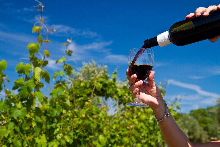 Copa de vino en las filas de uvas
