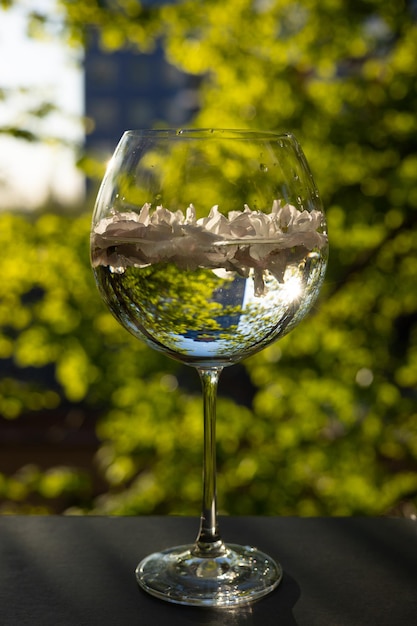 Foto una copa de vino con flores blancas en ella