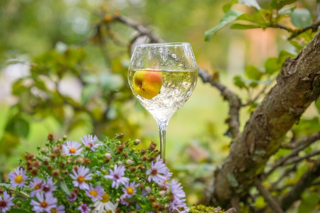 Una copa de vino en el fondo de la naturaleza.