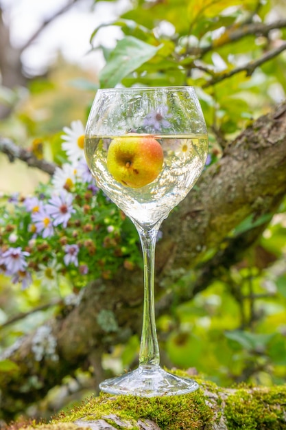 Una copa de vino en el fondo de la naturaleza.