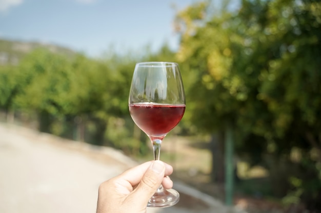 Copa de vino en la mano en el contexto de los viñedos de la granja de verano vino tinto casero de la suma ...