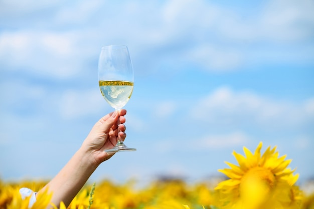 Copa de vino sobre un fondo de un campo de girasoles