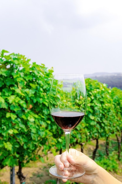 Foto copa de vino tinto con fondo de viñedo verde brillante