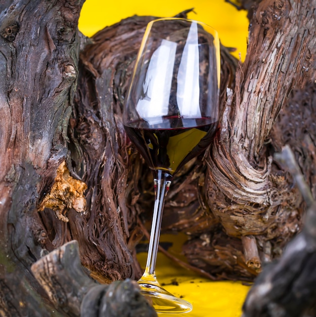 Copa de vino tinto sobre un fondo amarillo brillante y vid