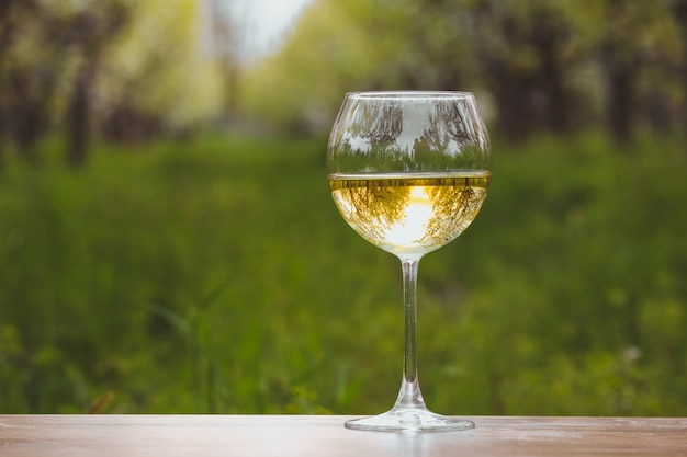 Copa de vino con vino blanco en el floreciente huerto de manzanas