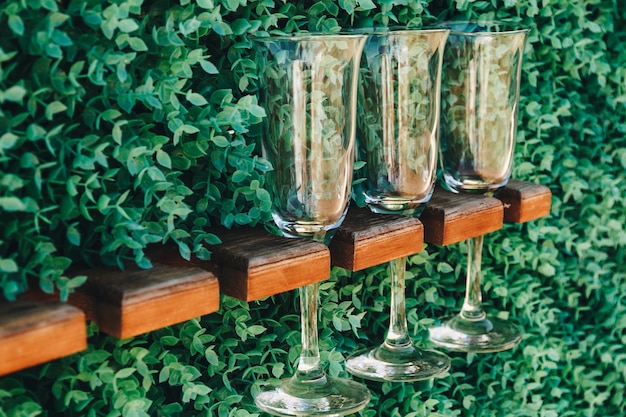 Copas de champán vacías montadas en un soporte en una pared vertical de césped verde Copas de invitados vacías en el soporte Decoración en la boda