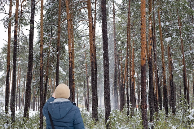 copas de pinos verdes bajo la nieve