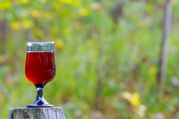 Copas de vino tinto espumoso sobre un fondo blanco copa de uvas de vino de las fiestas judías