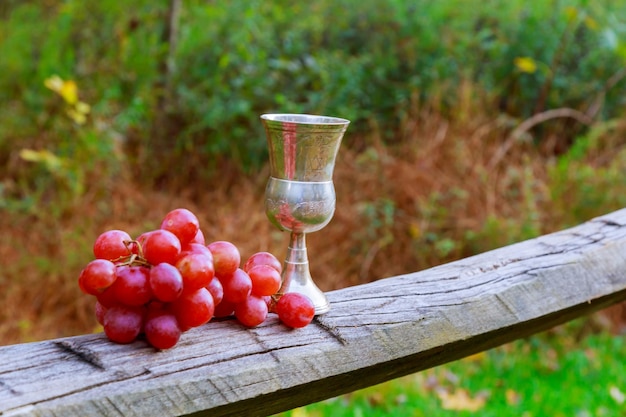 Copas de vino tinto espumoso sobre un fondo blanco copa de uvas de vino de las fiestas judías