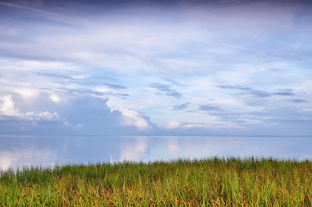 Copie a vista do mar e do oceano do espaço com grama verde longa e exuberante ou juncos em um lago ou baía de praia tranquila Relaxante paisagem remota calma e pacífica com nuvens de céu azul e água em uma ilha isolada