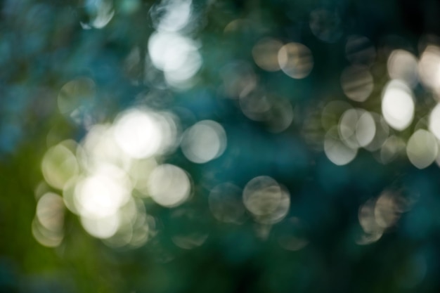 Copie el espacio desenfocado y la vista borrosa de un jardín bokeh y un fondo estético con un espacio de copia Calma zen patrón tranquilo y pacífico de relajantes colores azul verde turquesa blanco en un patio trasero