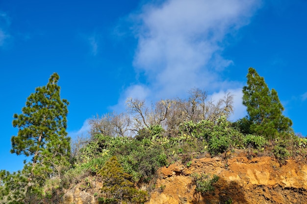 Copie o espaço com paisagem cênica de uma montanha na ilha de La Palma Ilhas Canárias Espanha contra um fundo de céu azul nublado Plantas selvagens crescendo em uma colina rochosa e penhasco na natureza ao ar livre