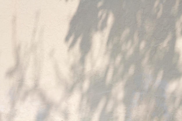Foto copie o espaço da parede de concreto branco com sombras