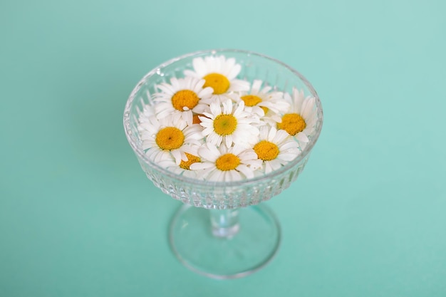 Foto copo com água e flores de camomila, florescendo