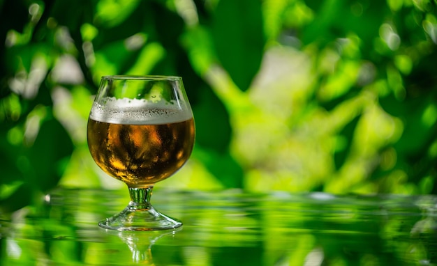 copo com cerveja espumosa no vidro no contexto das folhas